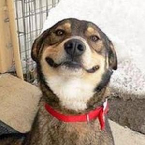 Meet your Posher, Kasey